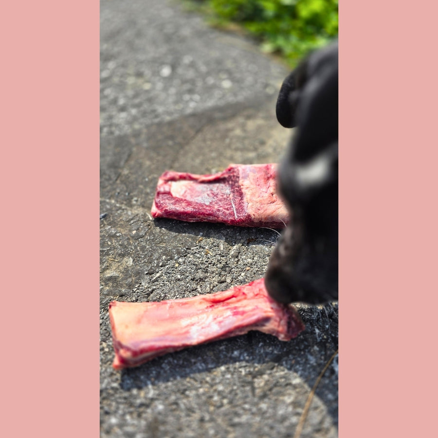 Beef Rib Bones