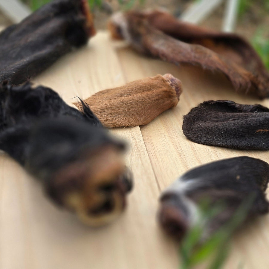 Dehydrated Cow Ears