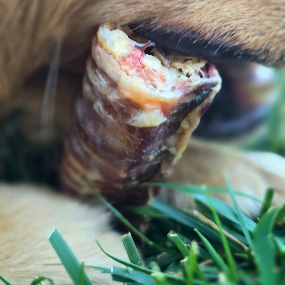 Dried Beef Trachea