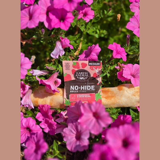 No-Hide Bones | Strawberries & Cream | Medium/7"