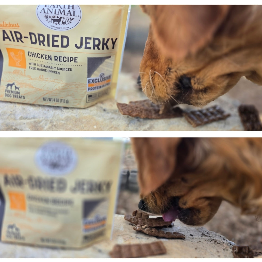 Earth Animal Jerky | Chicken