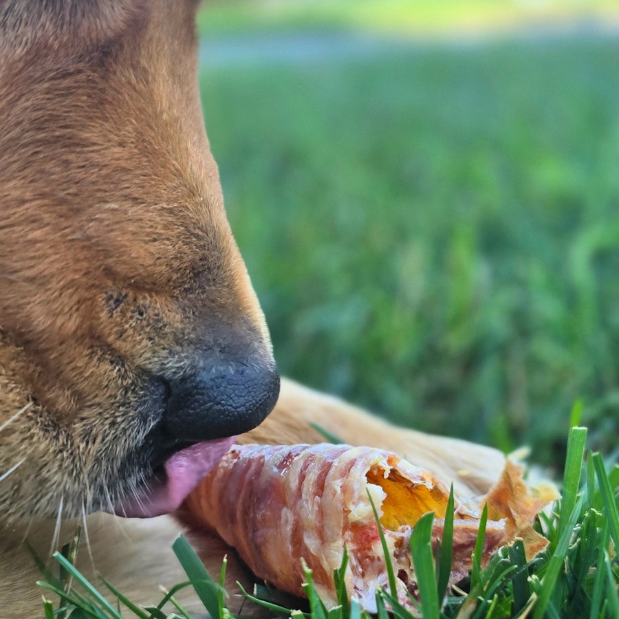 Dried Beef Trachea