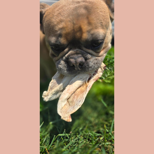 Dehydrated Rabbit Ears