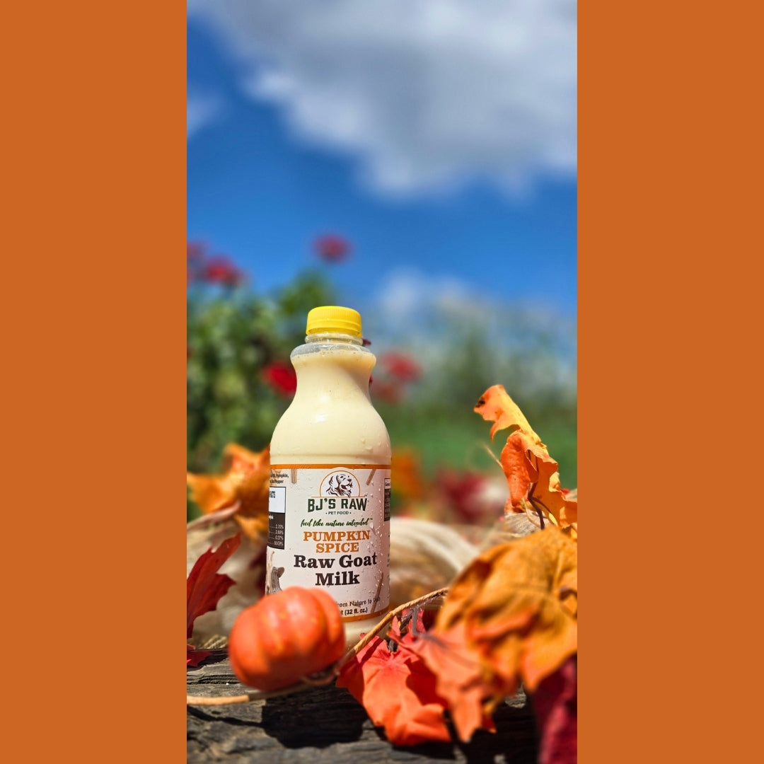 Pumpkin Spice Raw Goat Milk