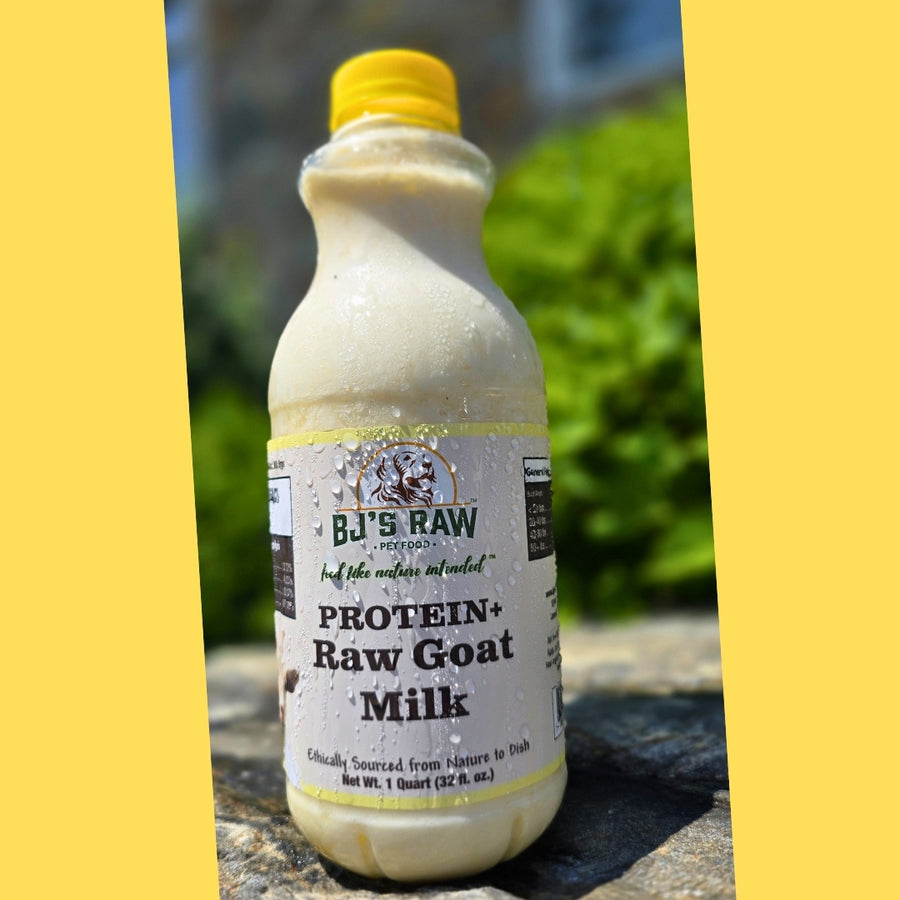 Protein+ Raw Goat Milk