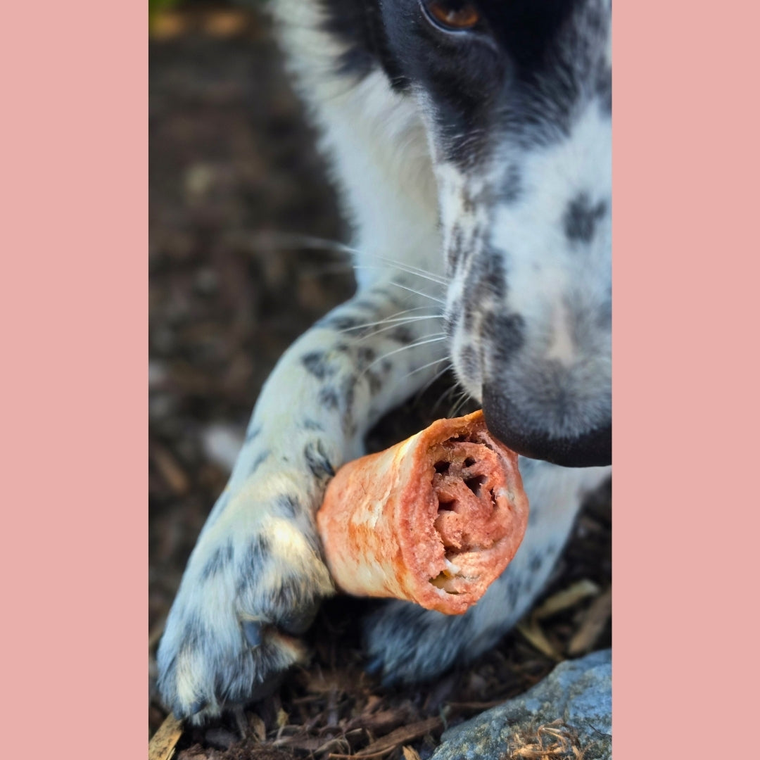 No-Hide Bones | Strawberries & Cream | Small/4
