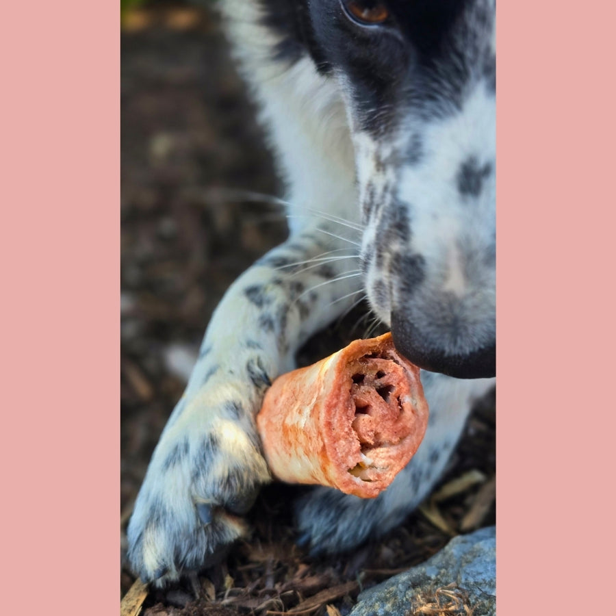No-Hide Bones | Strawberries & Cream | Small/4