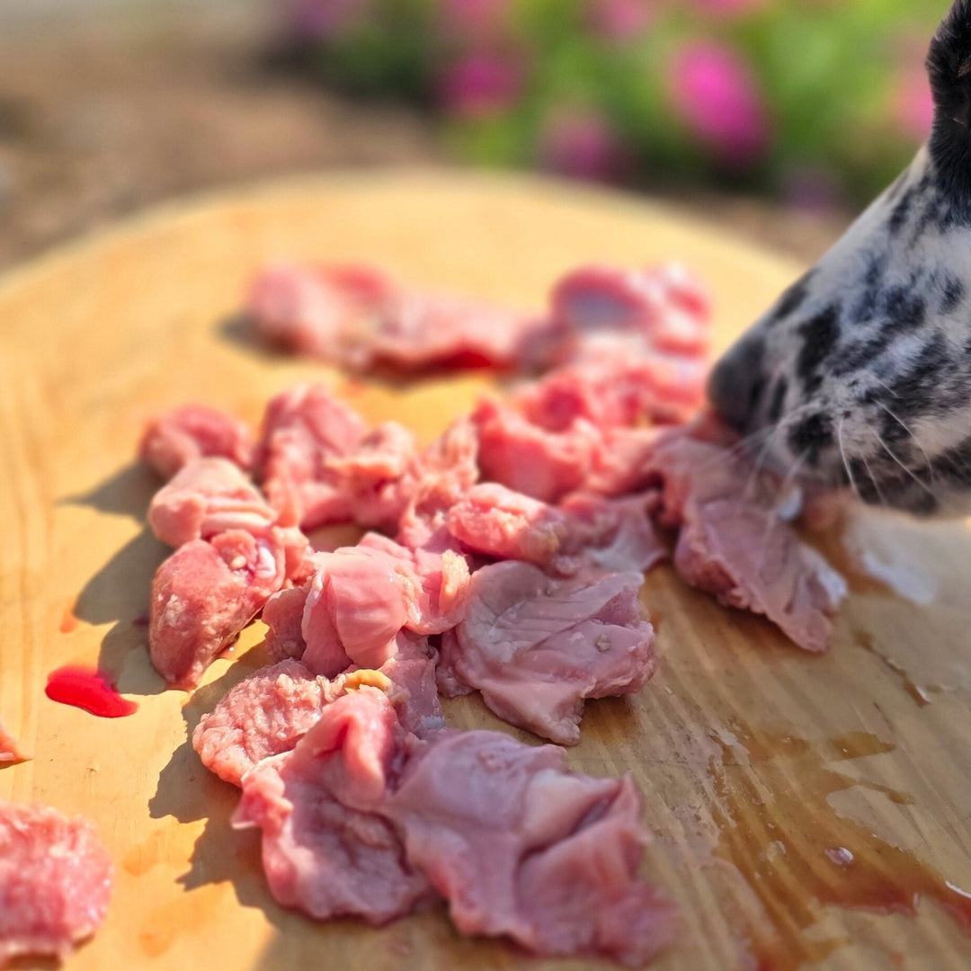 Chicken Gizzards