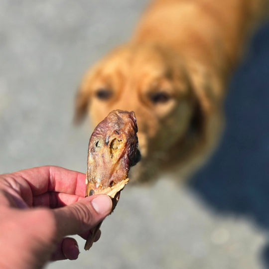 Dehydrated Duck Heads