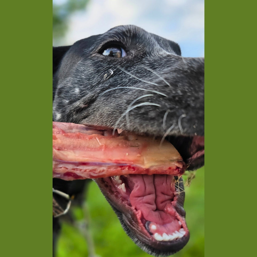 Beef Rib Bones