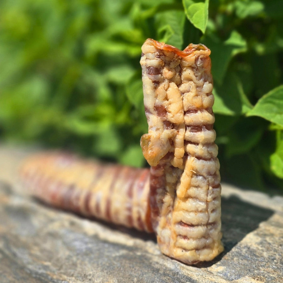 Dried Beef Trachea