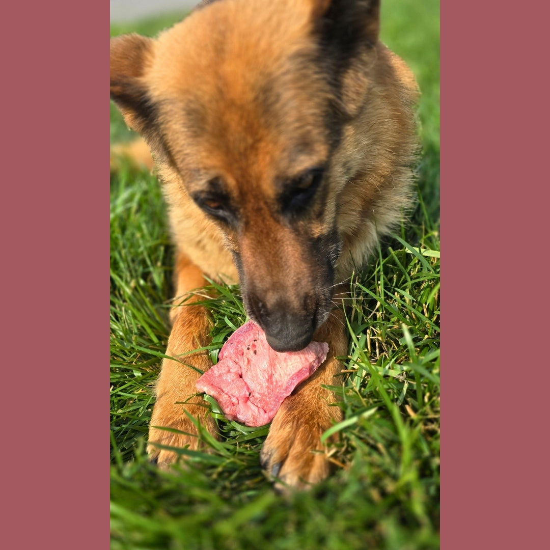 Beef Tongue (Whole)