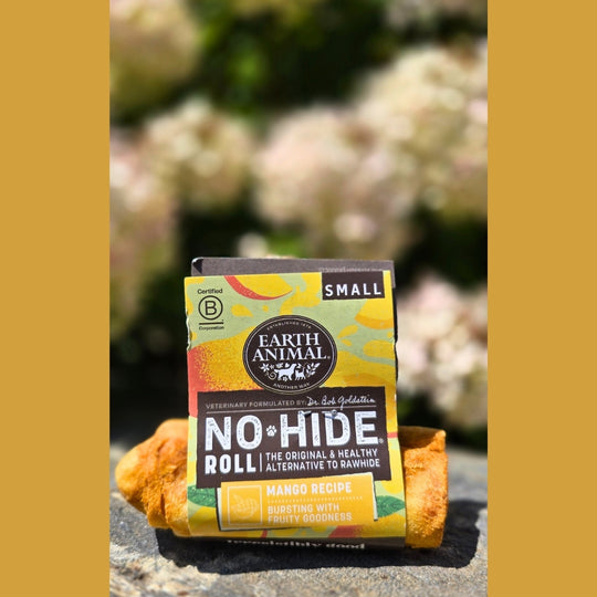 No-Hide Bones | Mango | Small/4"