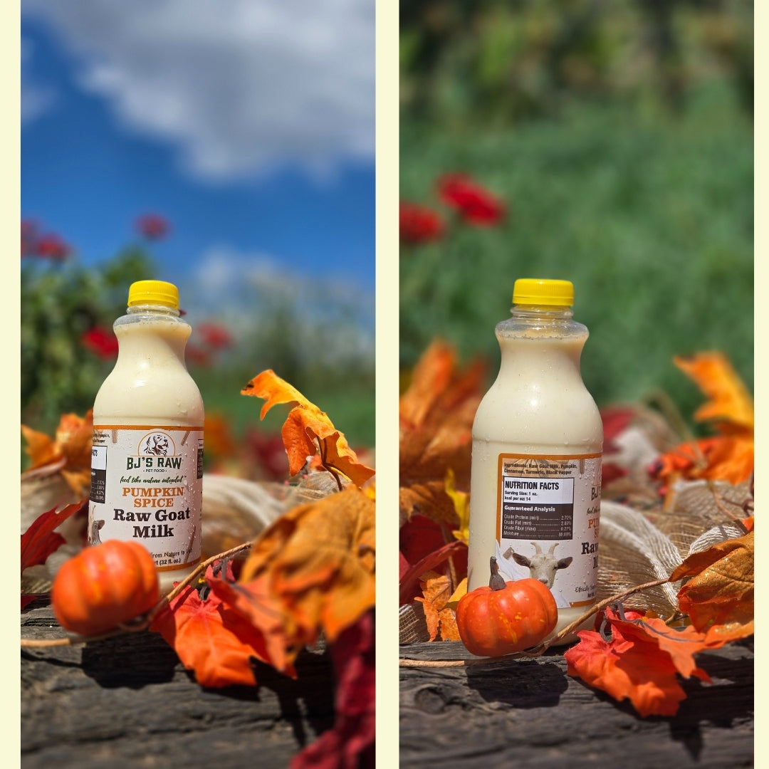 Pumpkin Spice Raw Goat Milk