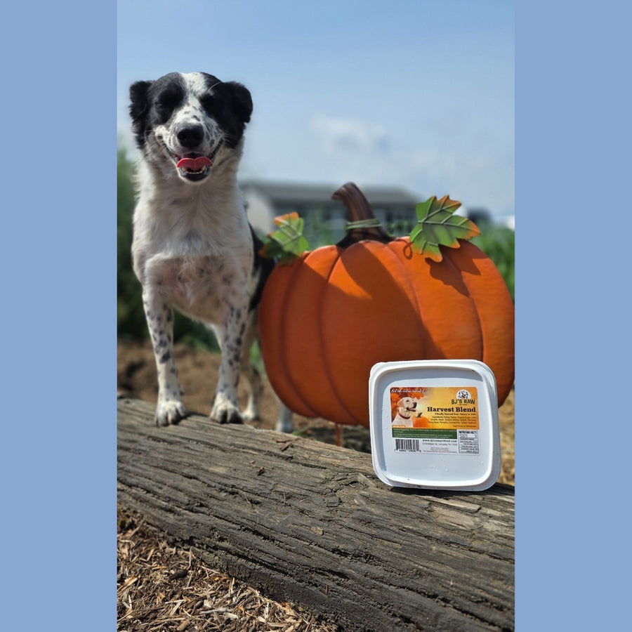 Harvest Blend