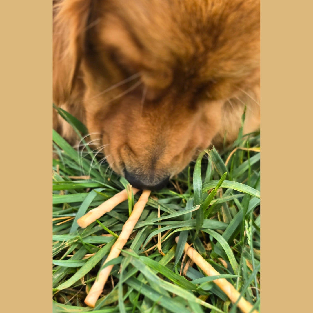 No-Hide Stix
