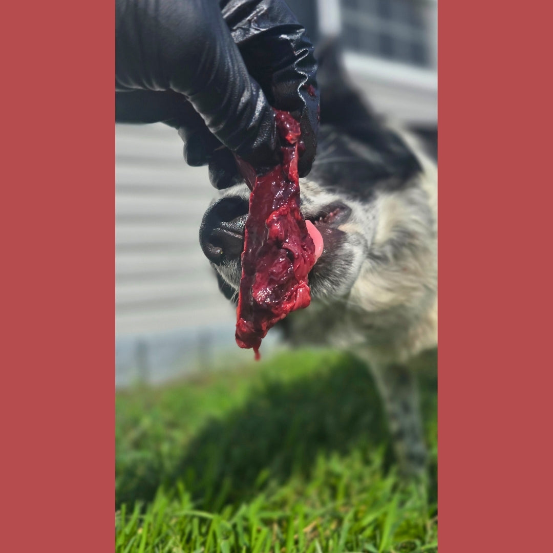 Beef Spleen (whole)