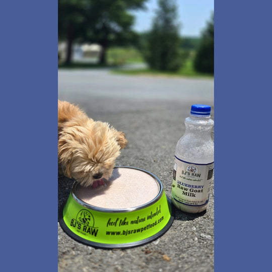 Blueberry Raw Goat Milk