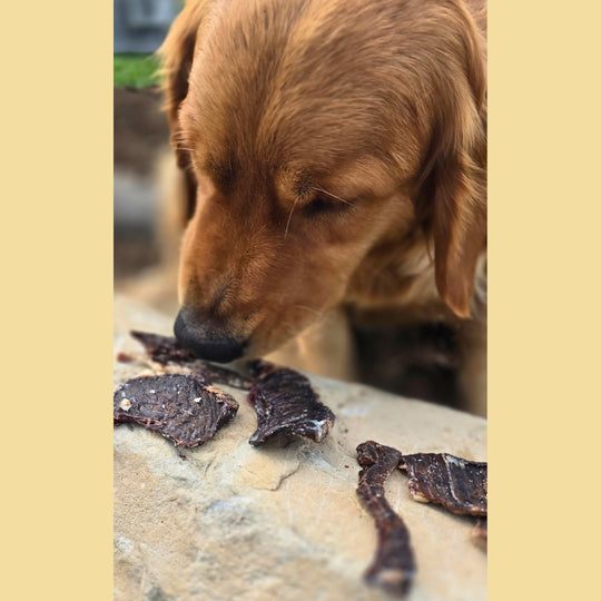 Dried Beef Heart - 1.5 oz  per order