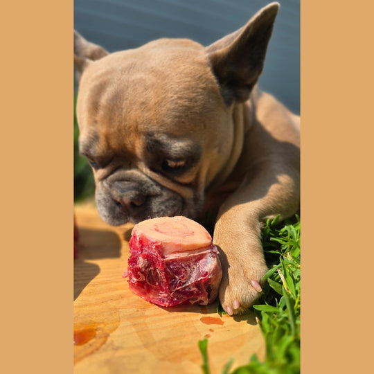 Sliced Beef Marrow Bone