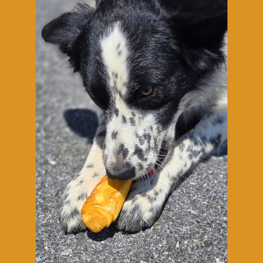 No-Hide Bones | Mango | Small/4