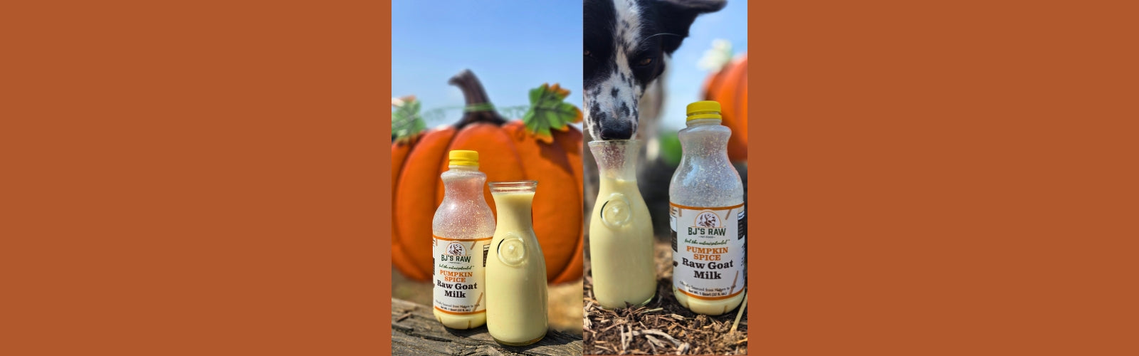 Pumpkin Spice