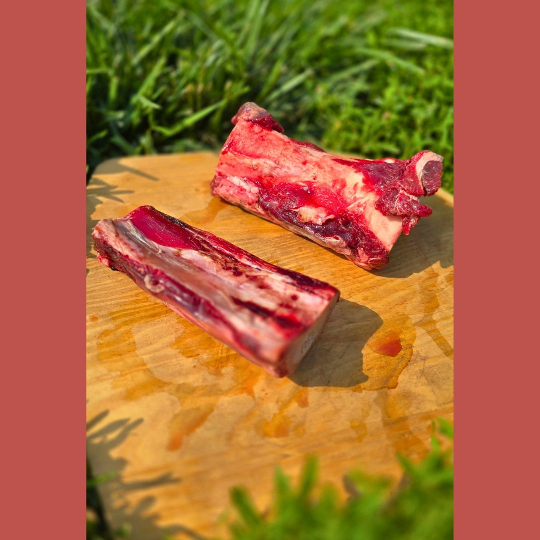 Beef Marrow Bone