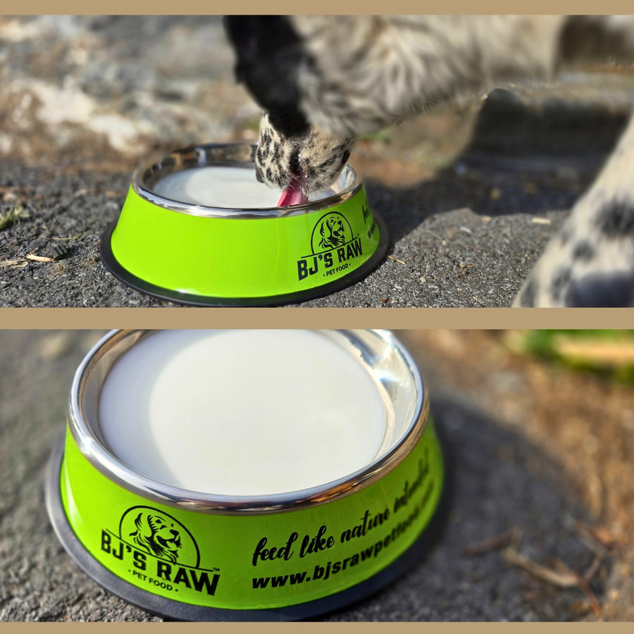Kefir Goat Milk