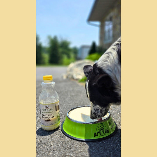 Protein+ Raw Goat Milk