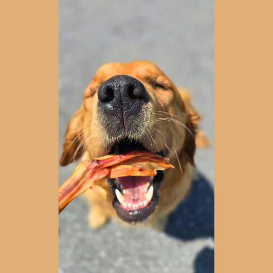Dehydrated Duck Feet