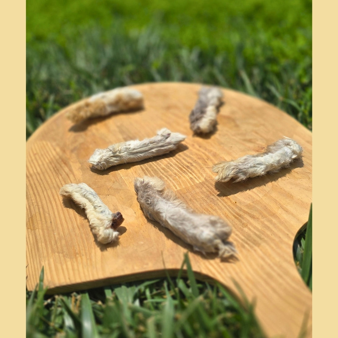 Dehydrated Rabbit Feet