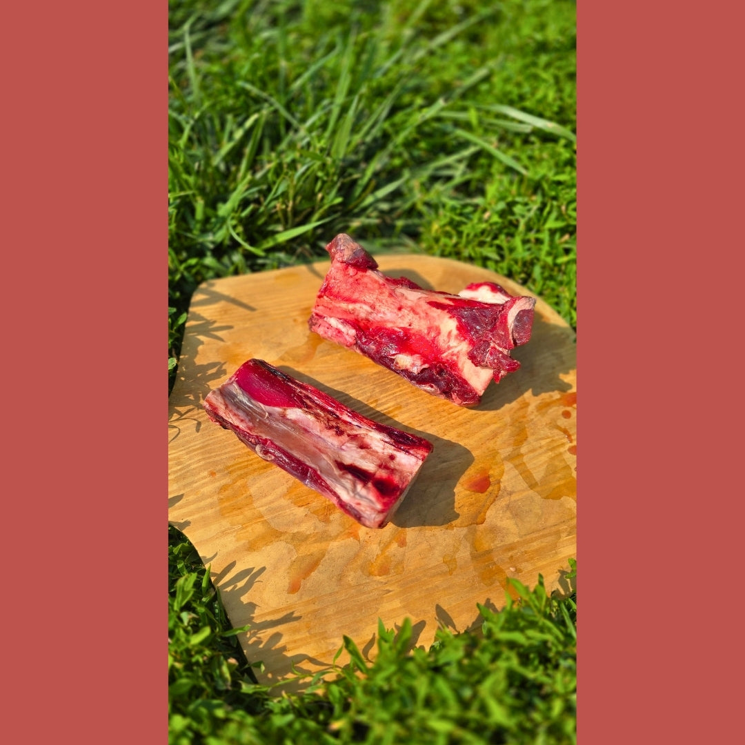 Beef Marrow Bone