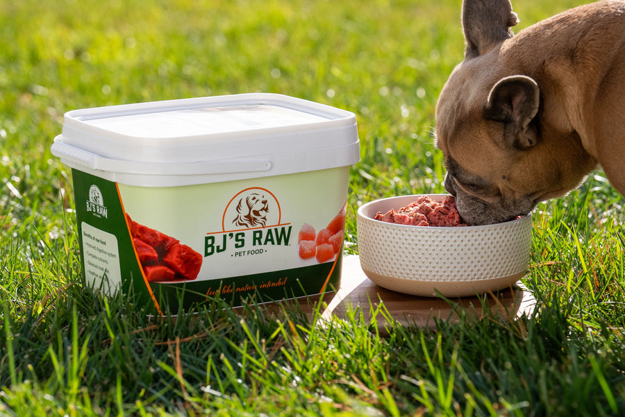 Rabbit and Salmon Mix