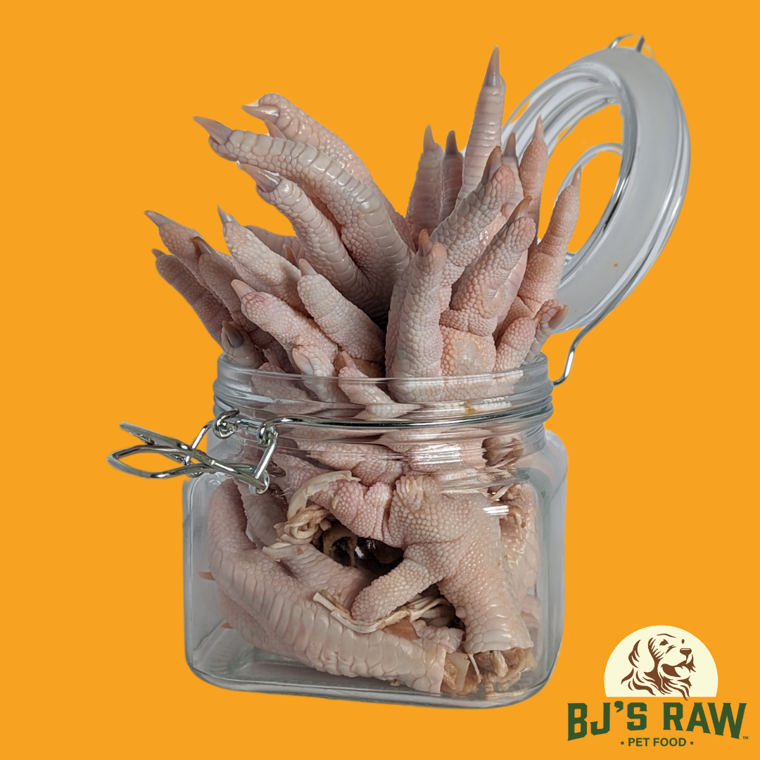 Feeding dogs chicken feet shop