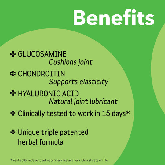 Connectin Canine Joint Supplement Soft Chews