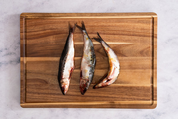 Sardines