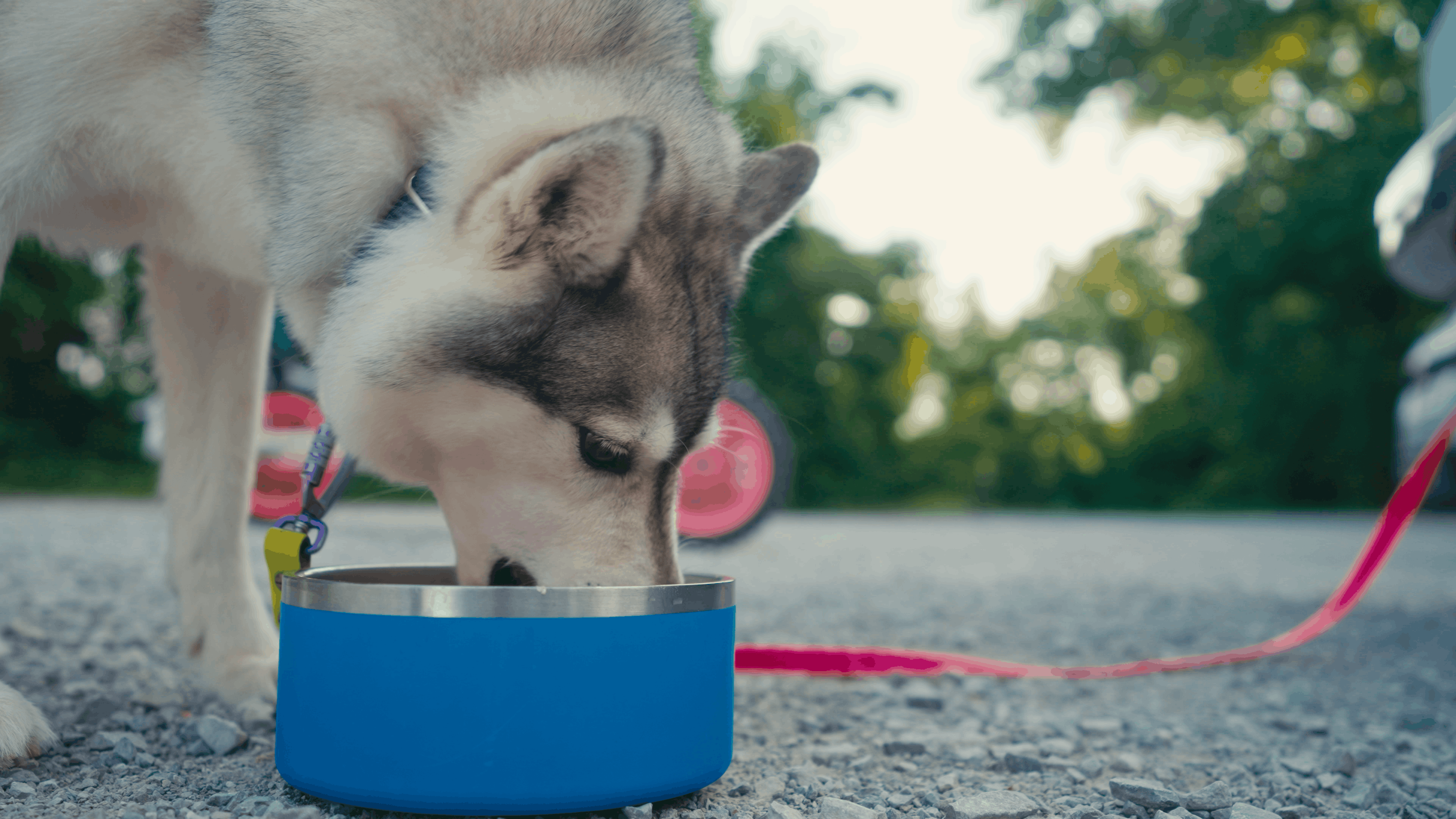 Feed Like Nature Intended
