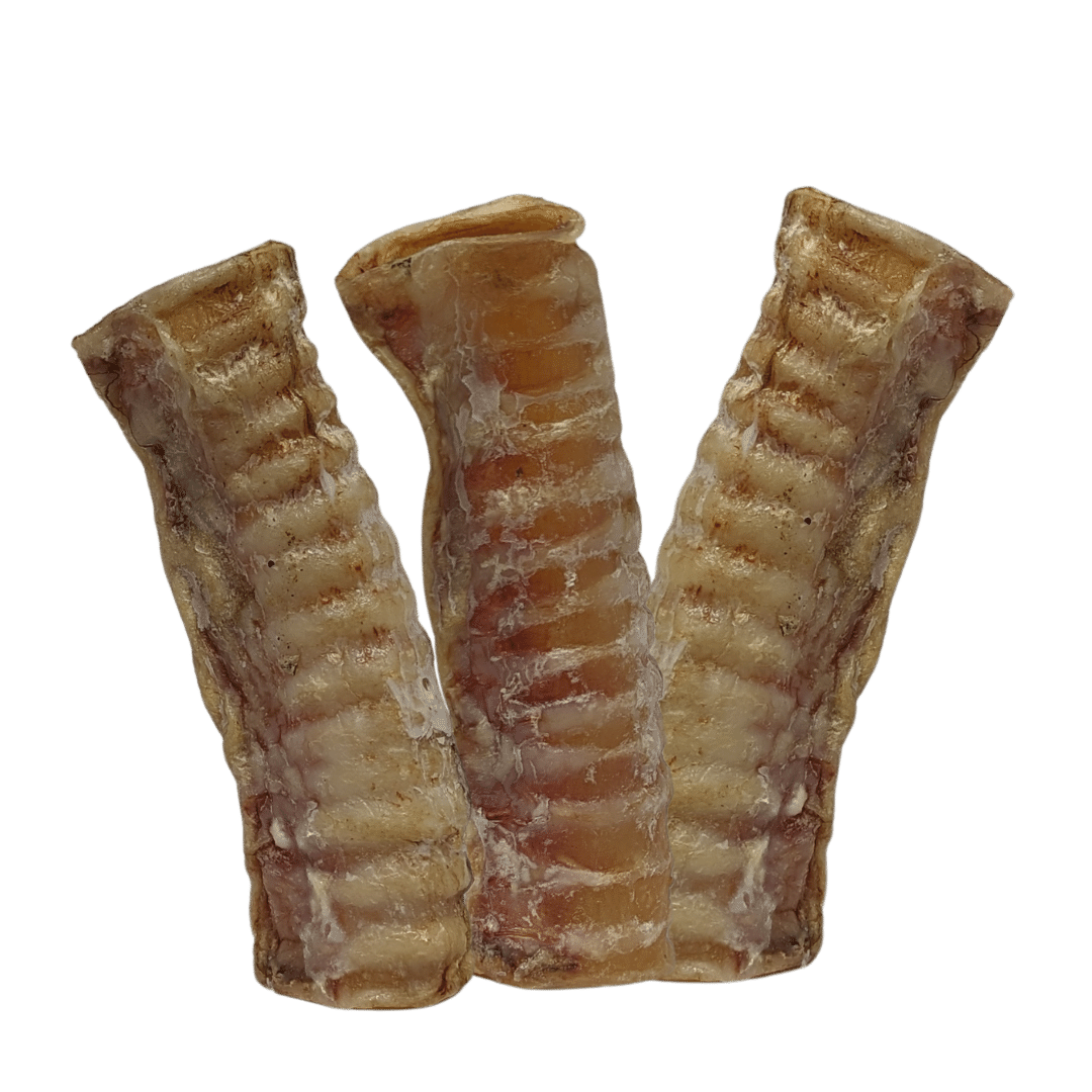Dried Beef Trachea BJ s Raw Pet Food