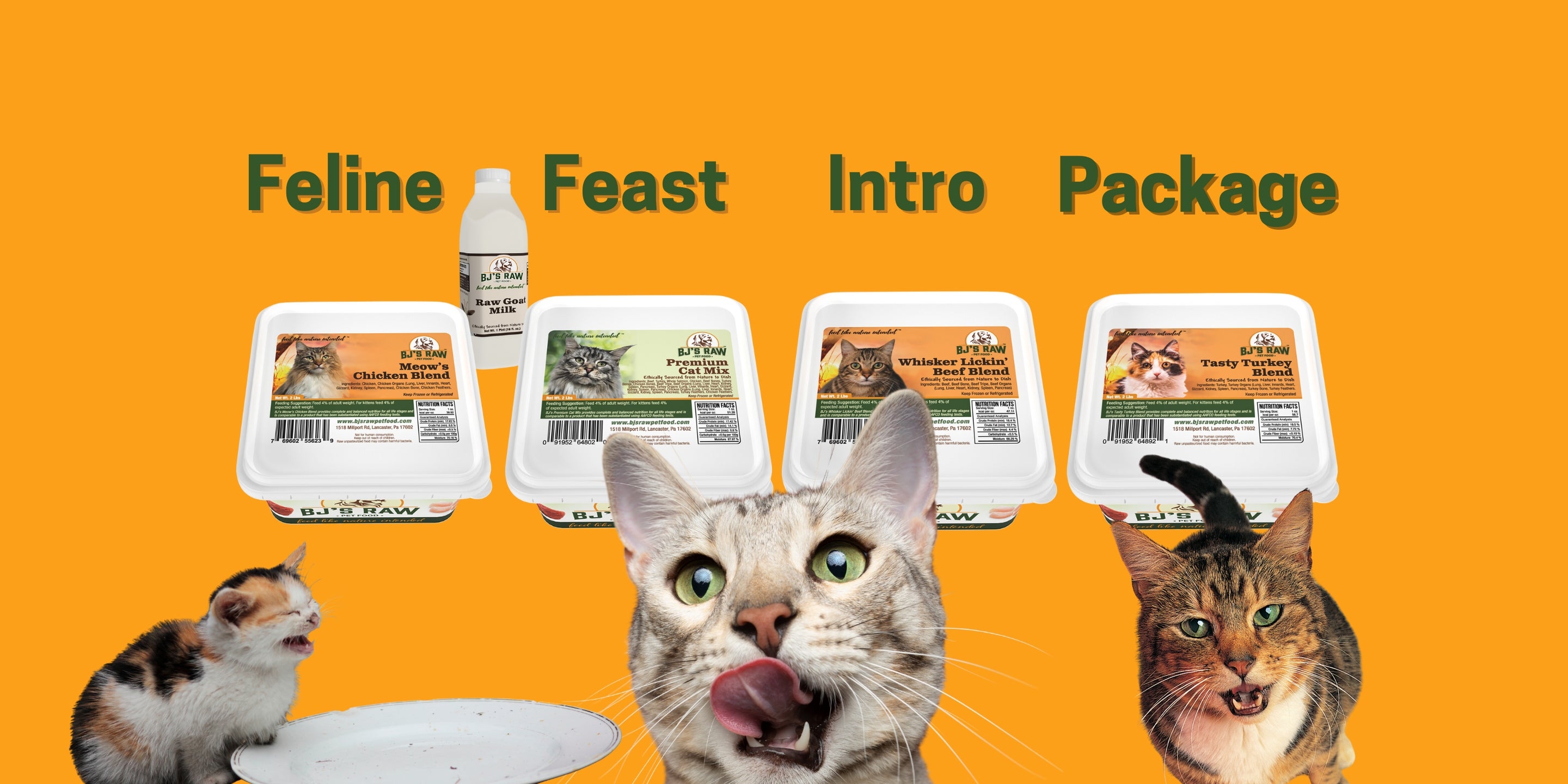Feline Feast Introductory Package