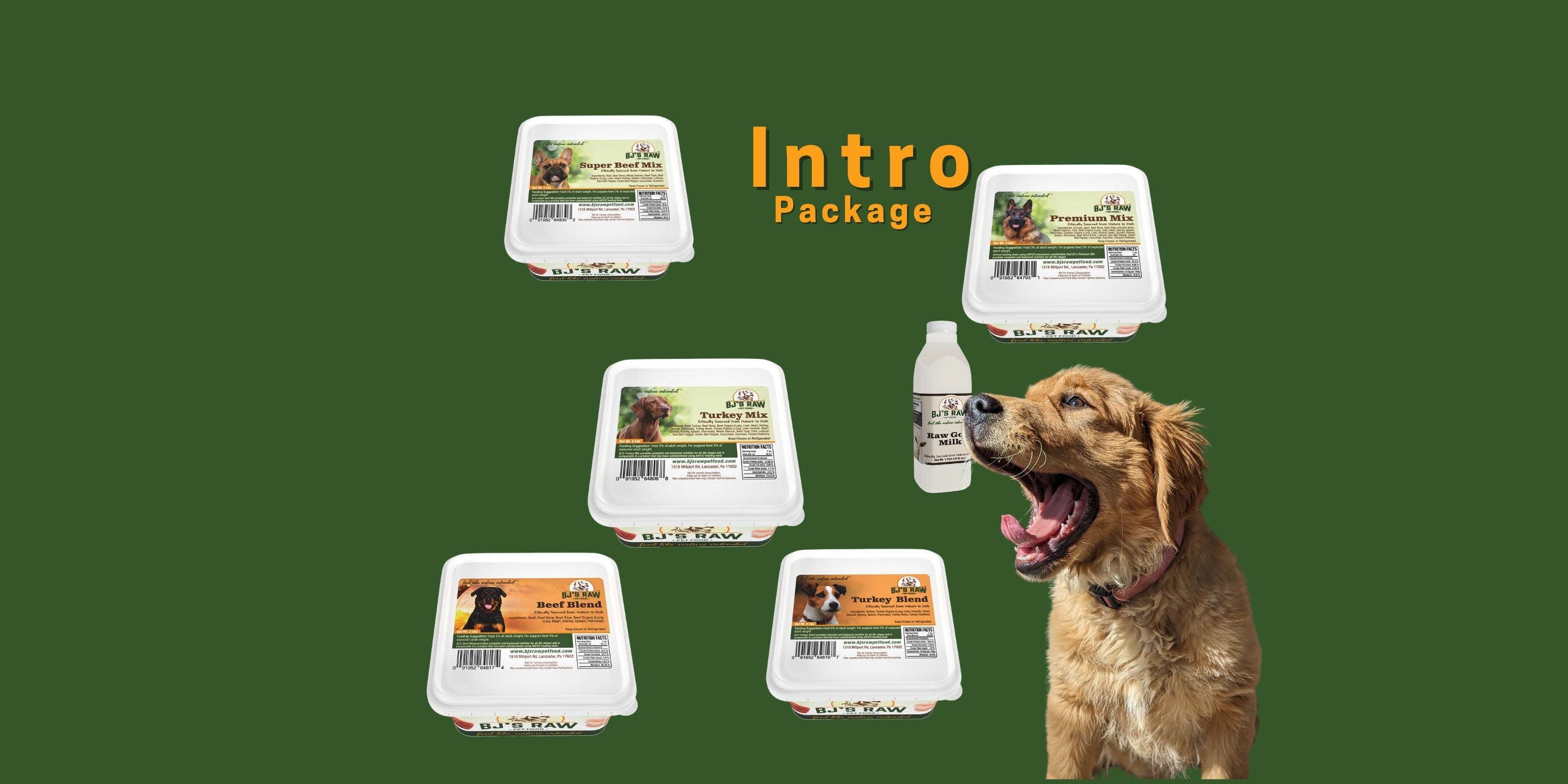 Be Your Dog's Hero!