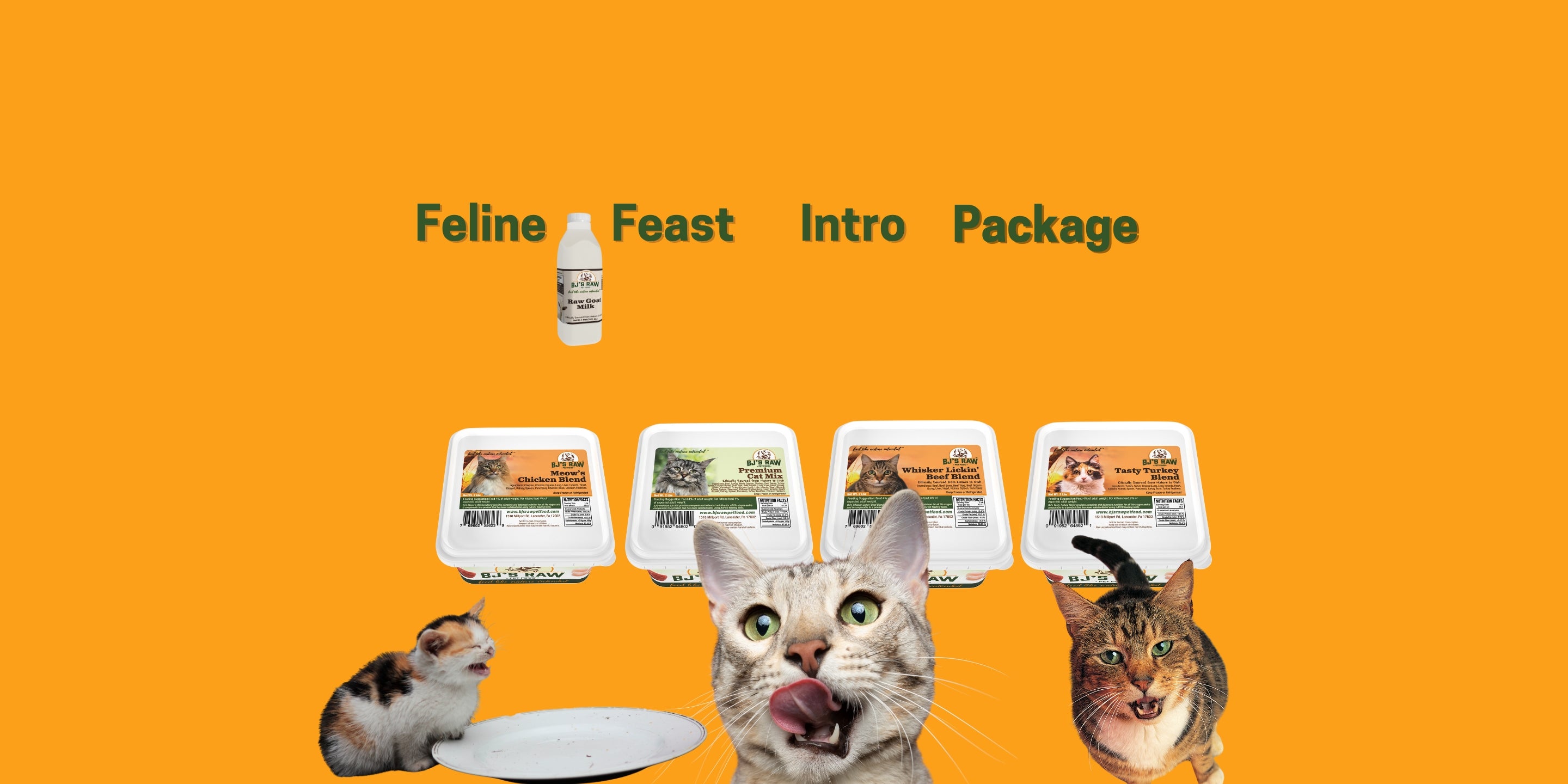 Feline Feast Introductory Package