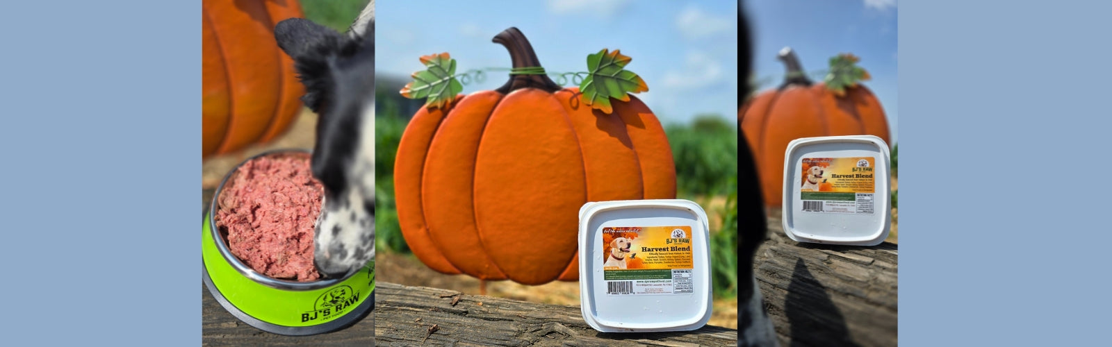 Harvest Blend is Back!