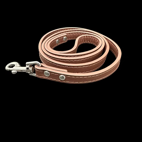 4-Foot Dog Leashes
