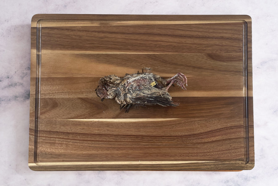 Whole Prey Quail