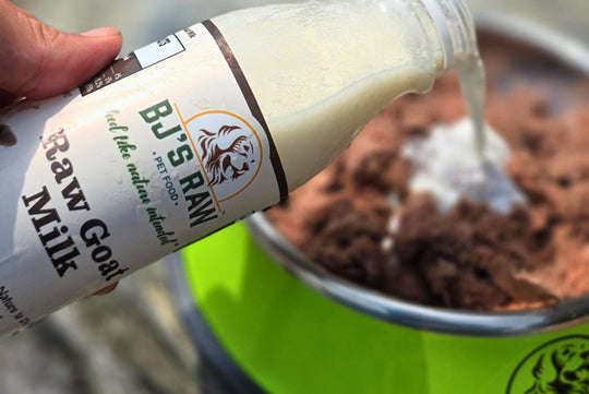 Raw Goat Milk