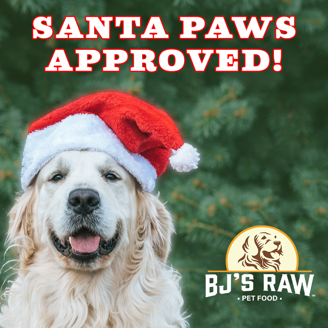 Santa Paws Approved!