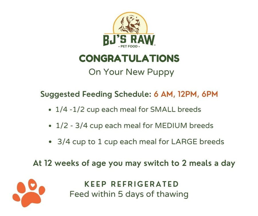 puppy Kit Dog Breeders Feeding Schedule