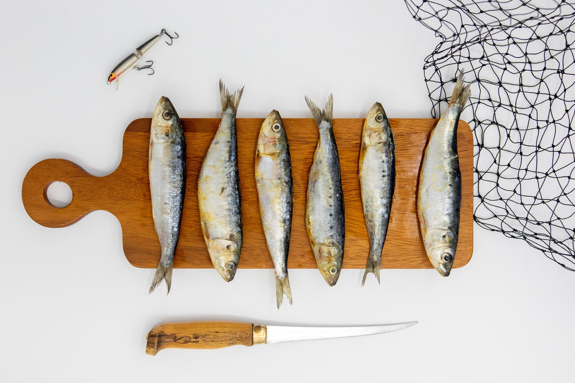 Sardines BJ s Raw Pet Food
